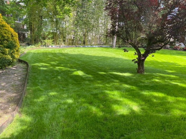 503469295_10160902490842116_2534918076711048251_n Création de jardin sur mesure achevée à Maisons-Laffitte