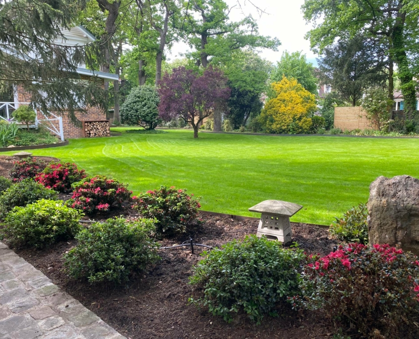 Création de jardin sur mesure achevée à Maisons-Laffitte